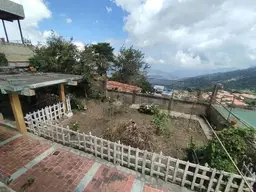Vista 26