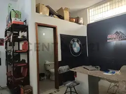 Vista 5