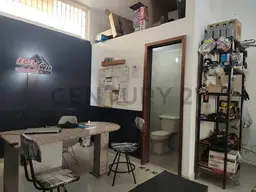 Vista 6