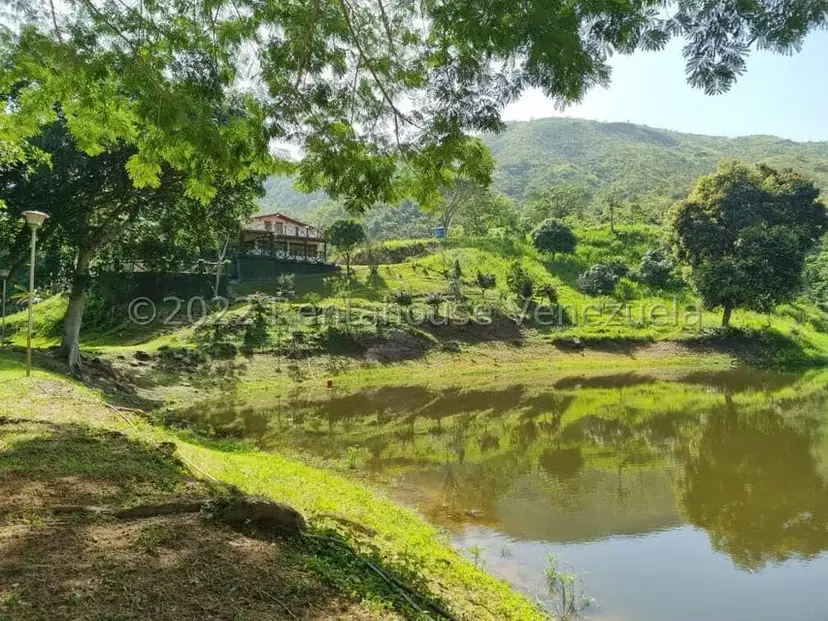 Terreno (Finca) en Venta en Aguirre, Carabobo