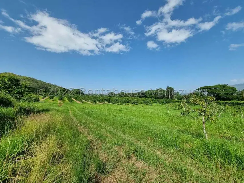 Terreno (Finca) en Venta en Aguirre, Carabobo - 11
