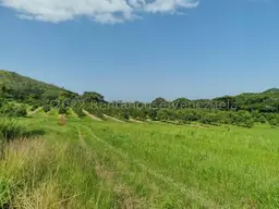Vista 12