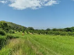 Vista 13