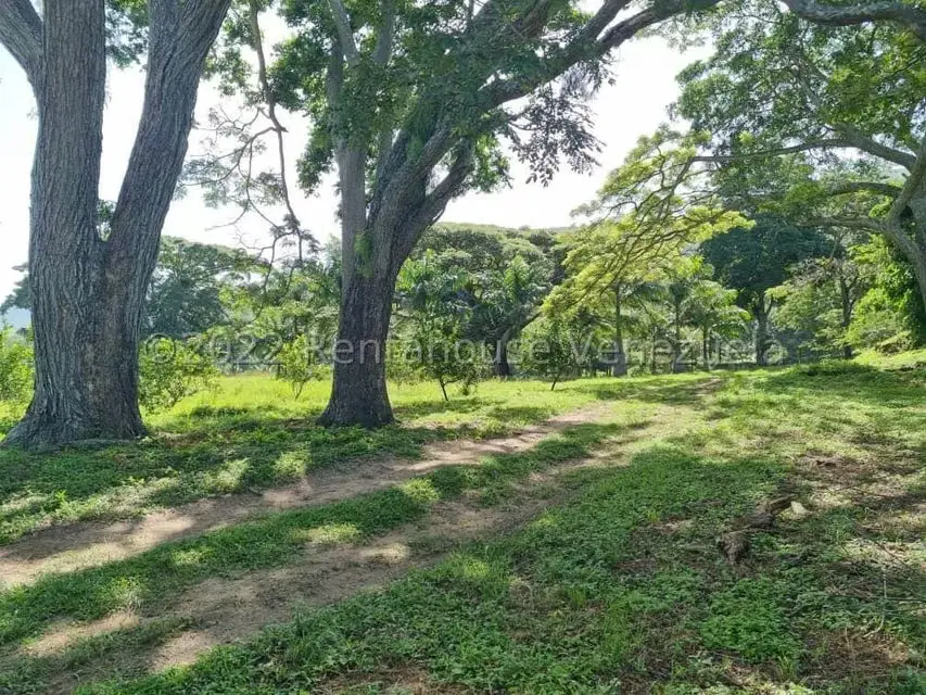 Terreno (Finca) en Venta en Aguirre, Carabobo - 14