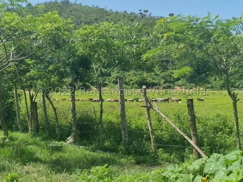 Terreno (Finca) en Venta en Aguirre, Carabobo - 15