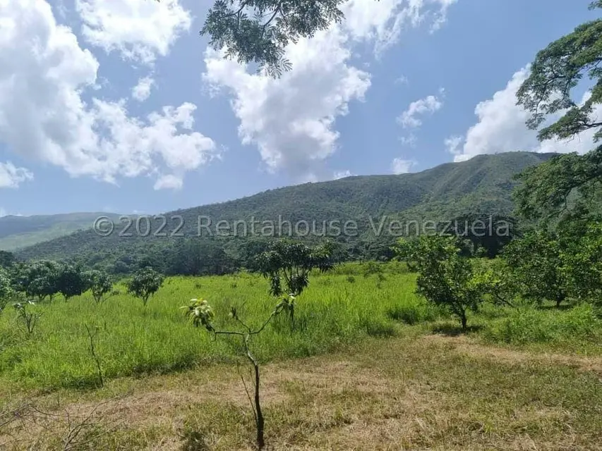Terreno (Finca) en Venta en Aguirre, Carabobo - 16