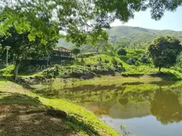 Vista 18
