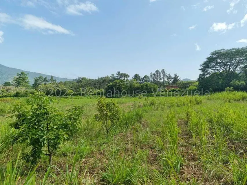 Terreno (Finca) en Venta en Aguirre, Carabobo - 2