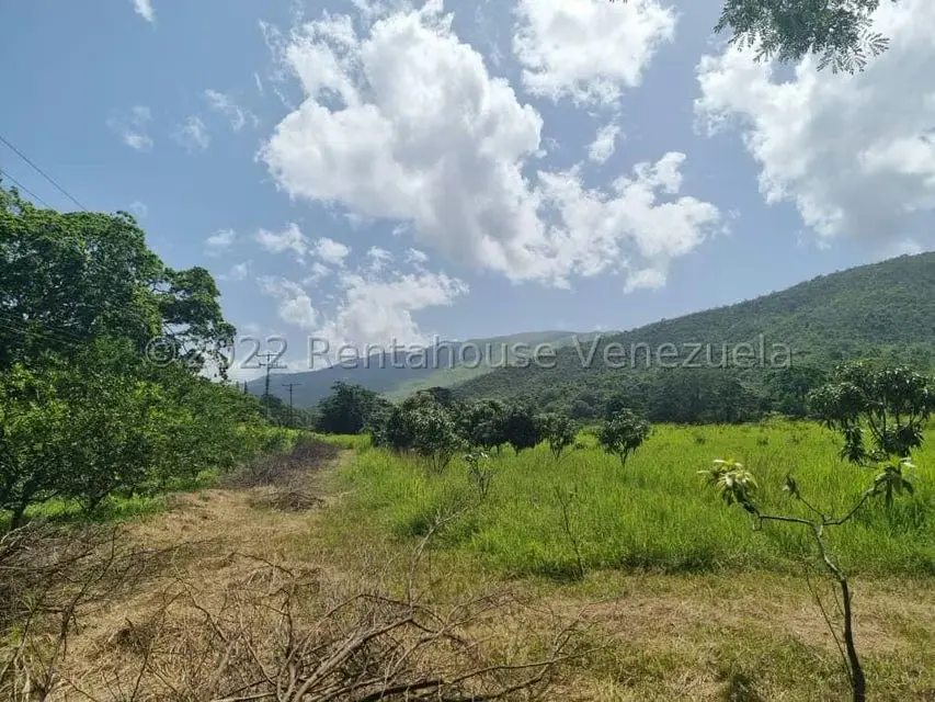 Terreno (Finca) en Venta en Aguirre, Carabobo - 3