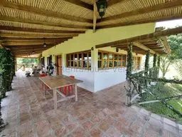 Vista 36