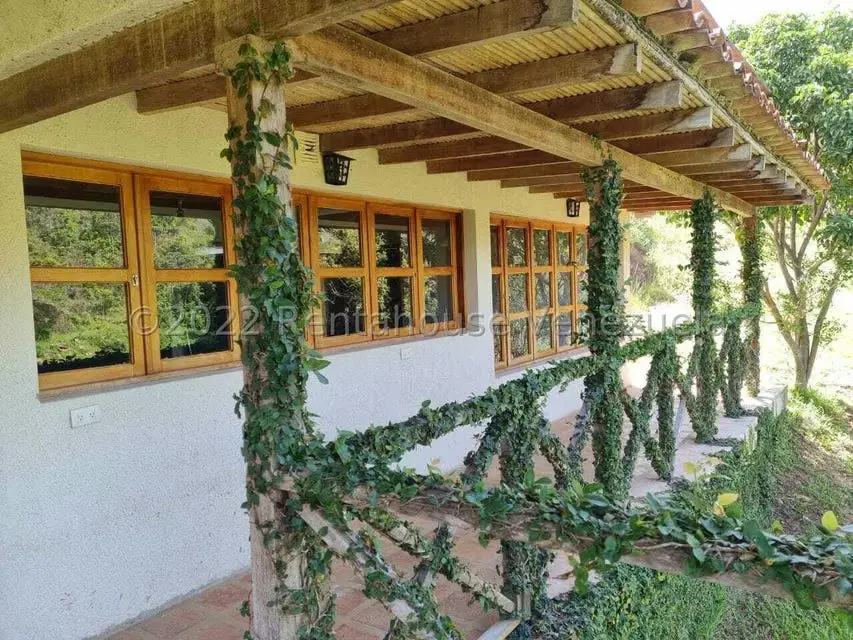 Terreno (Finca) en Venta en Aguirre, Carabobo - 37