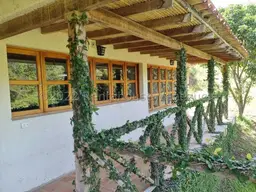 Vista 37
