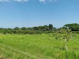 Vista 4