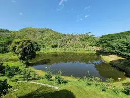 Vista 41