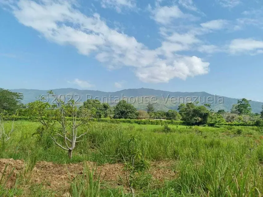 Terreno (Finca) en Venta en Aguirre, Carabobo - 42