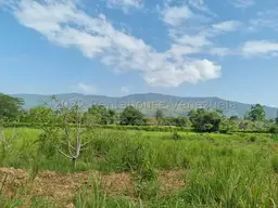 Vista 42