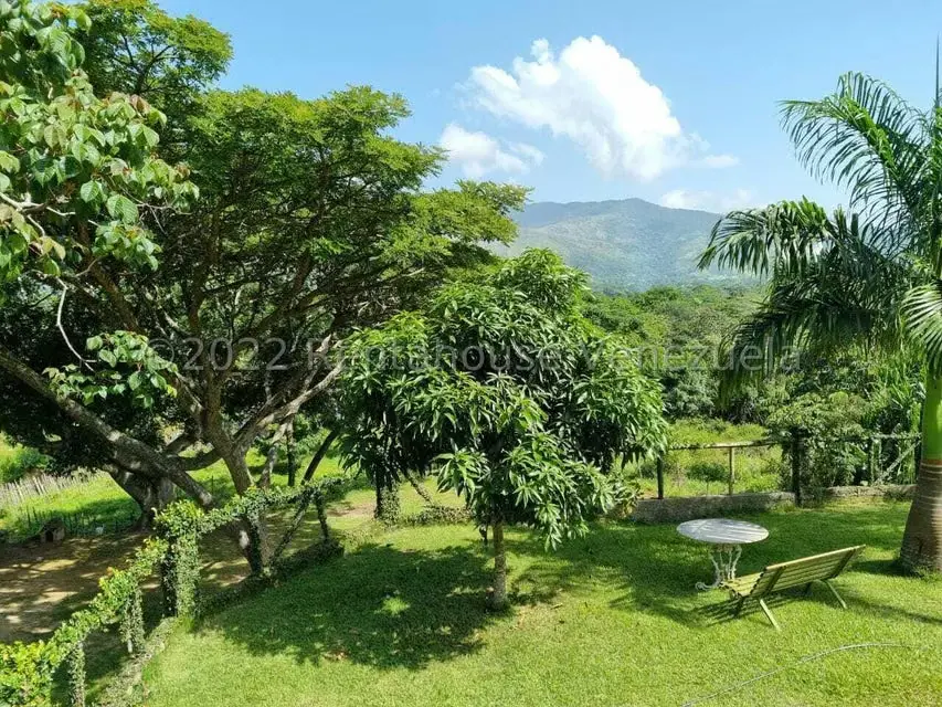 Terreno (Finca) en Venta en Aguirre, Carabobo - 44