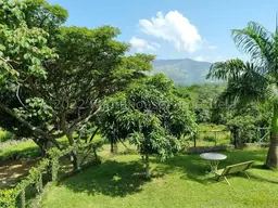 Vista 44