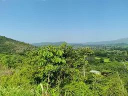 Vista 45