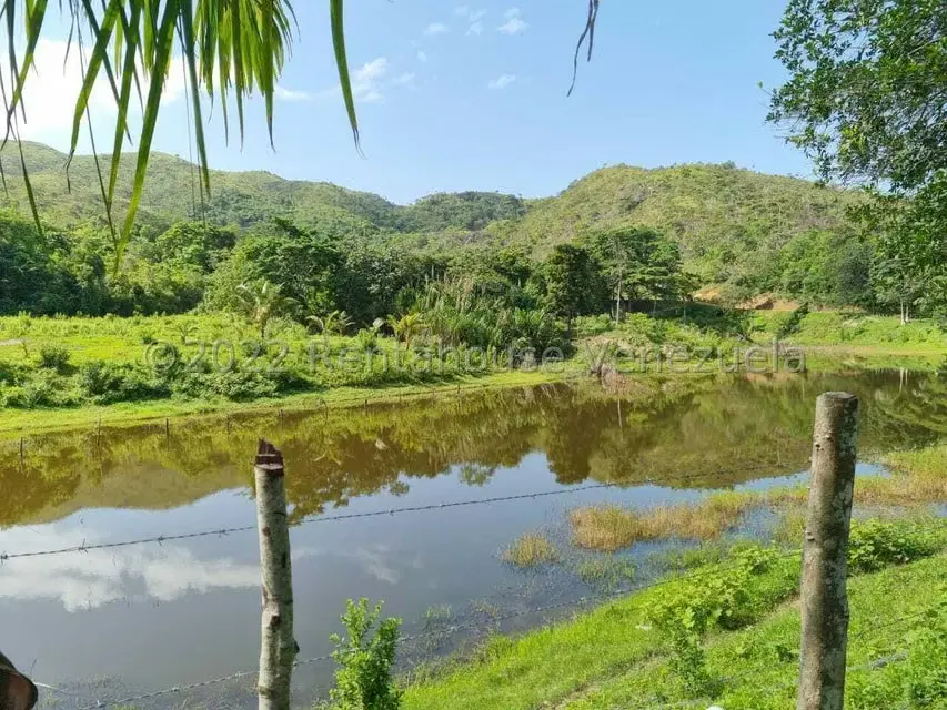 Terreno (Finca) en Venta en Aguirre, Carabobo - 47