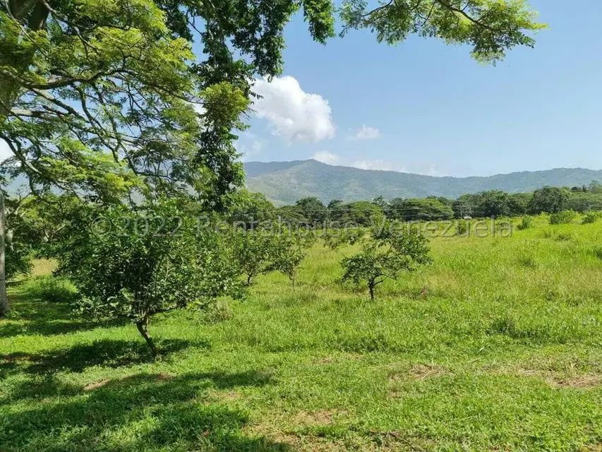 Terreno (Finca) en Venta en Aguirre, Carabobo - 48