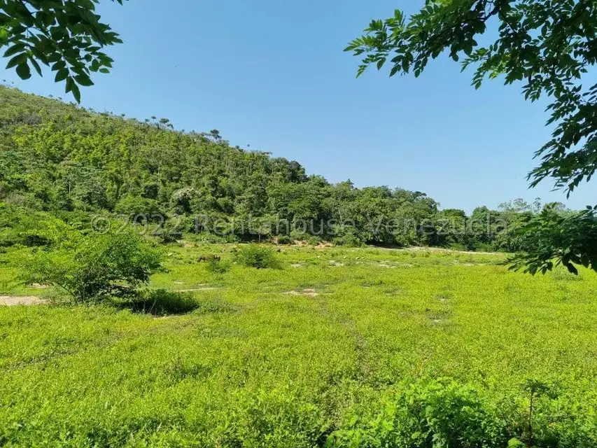 Terreno (Finca) en Venta en Aguirre, Carabobo - 49