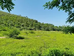 Vista 49