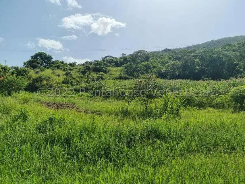 Terreno (Finca) en Venta en Aguirre, Carabobo - 50