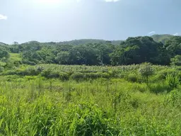 Vista 5