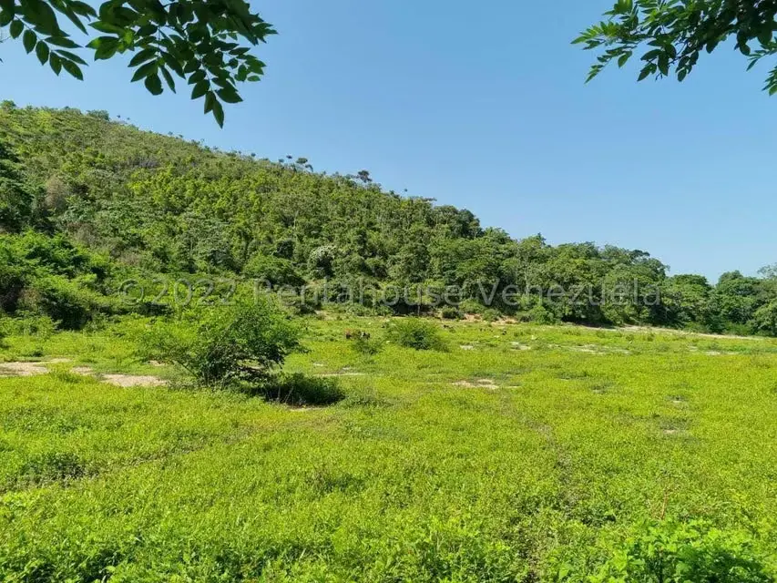 Terreno (Finca) en Venta en Aguirre, Carabobo - 52