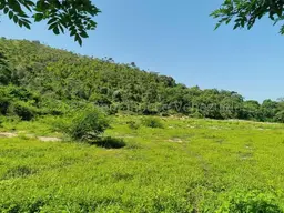Vista 52