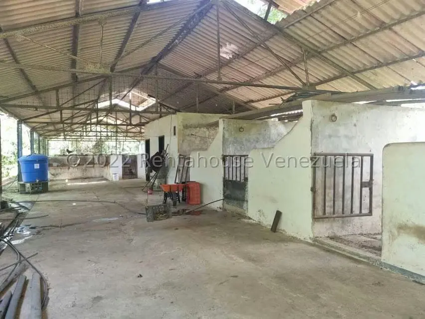 Terreno (Finca) en Venta en Aguirre, Carabobo - 53