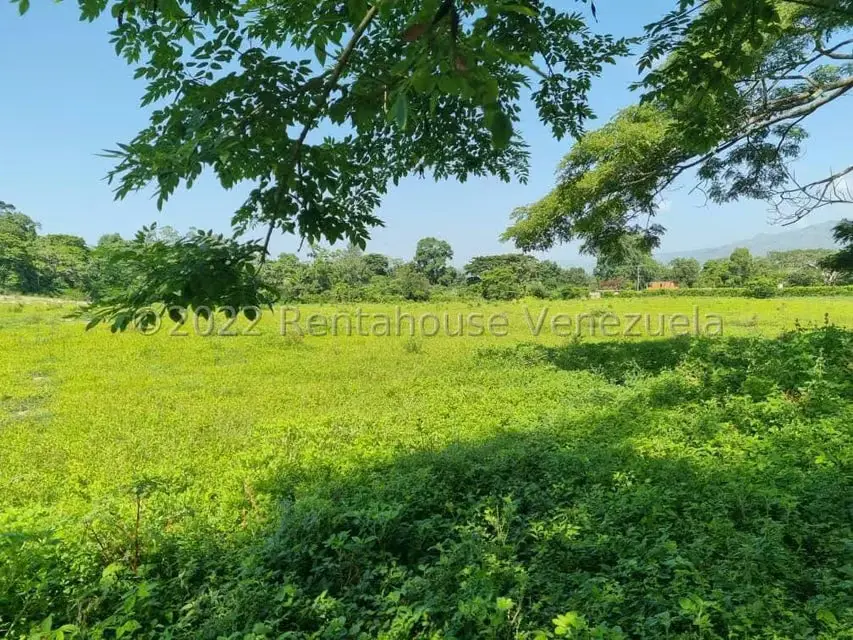 Terreno (Finca) en Venta en Aguirre, Carabobo - 54