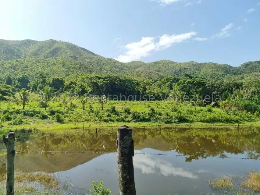 Terreno (Finca) en Venta en Aguirre, Carabobo - 55