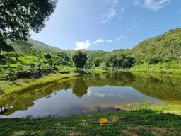 Vista 58