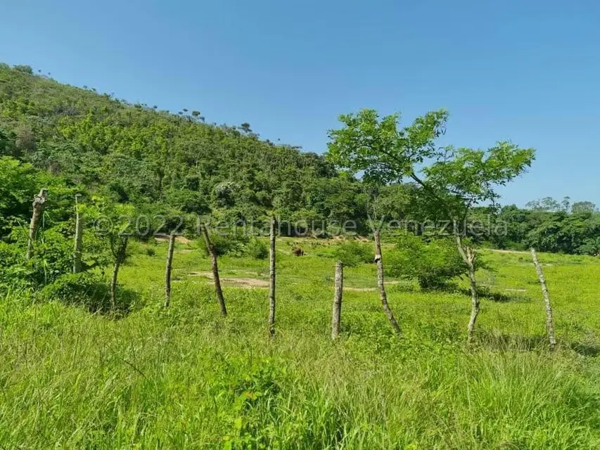 Terreno (Finca) en Venta en Aguirre, Carabobo - 59