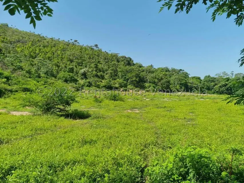 Terreno (Finca) en Venta en Aguirre, Carabobo - 6