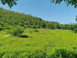 Vista 6