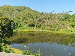Vista 62
