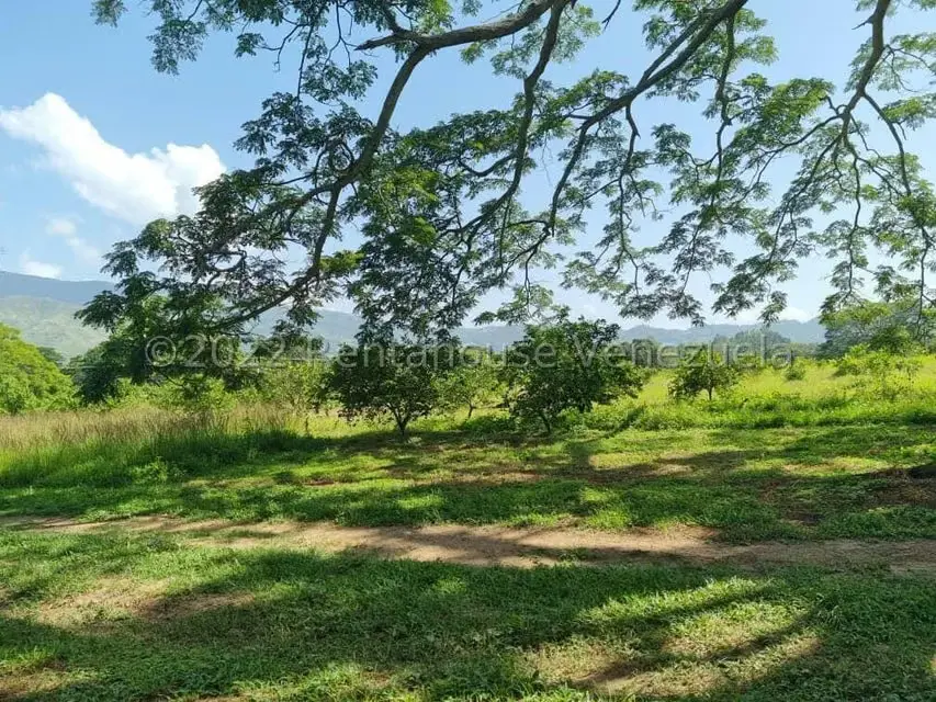 Terreno (Finca) en Venta en Aguirre, Carabobo - 63