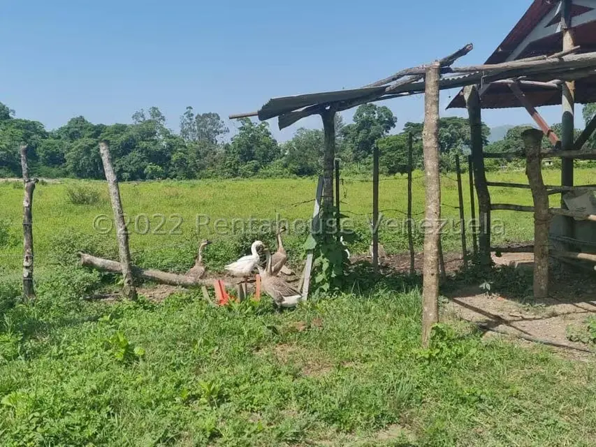 Terreno (Finca) en Venta en Aguirre, Carabobo - 65