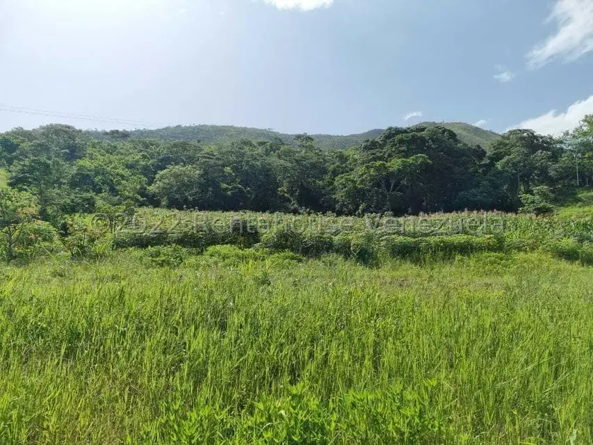 Terreno (Finca) en Venta en Aguirre, Carabobo - 66