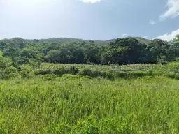 Vista 66