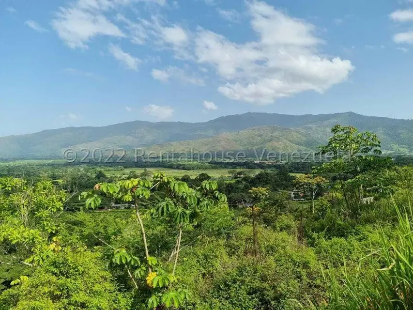 Terreno (Finca) en Venta en Aguirre, Carabobo - 8