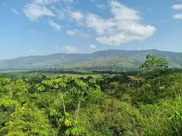 Vista 8