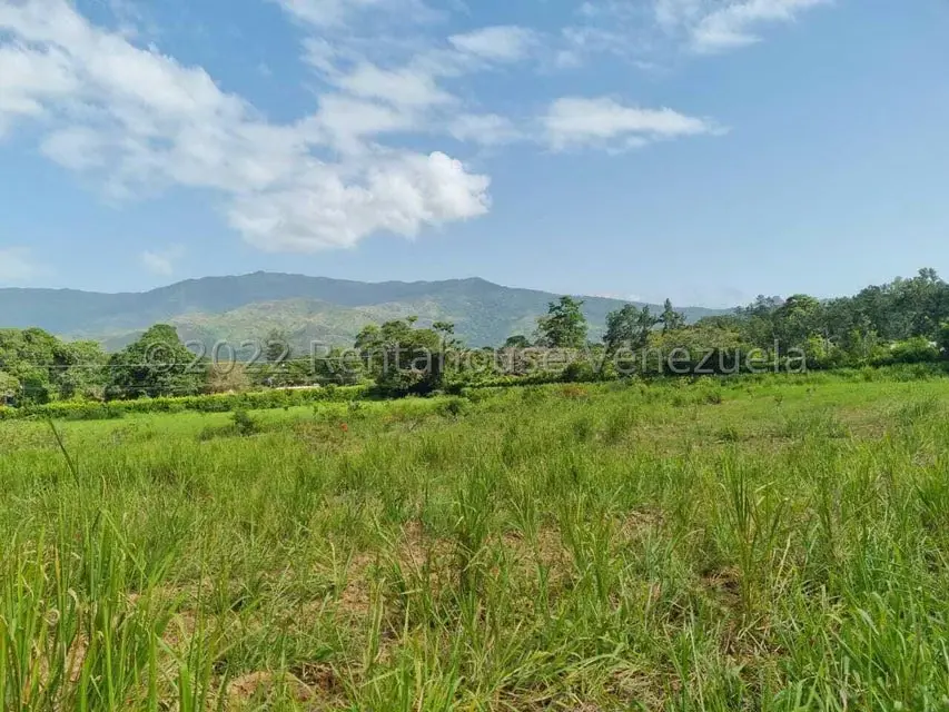 Terreno (Finca) en Venta en Aguirre, Carabobo - 9