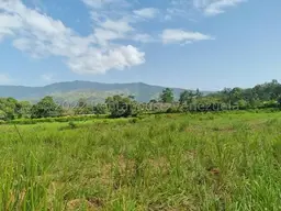 Vista 9