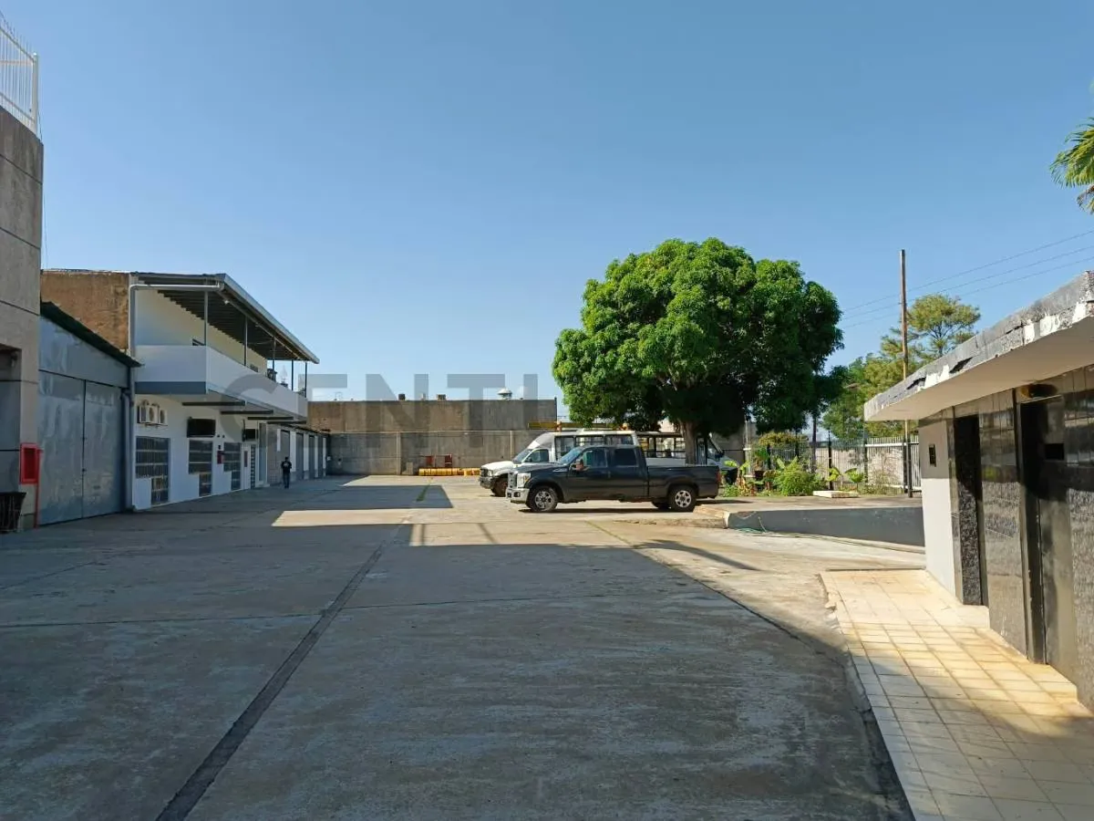 Galpones y oficinas en alquiler - 5