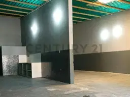 Vista 6