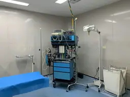 Vista 29